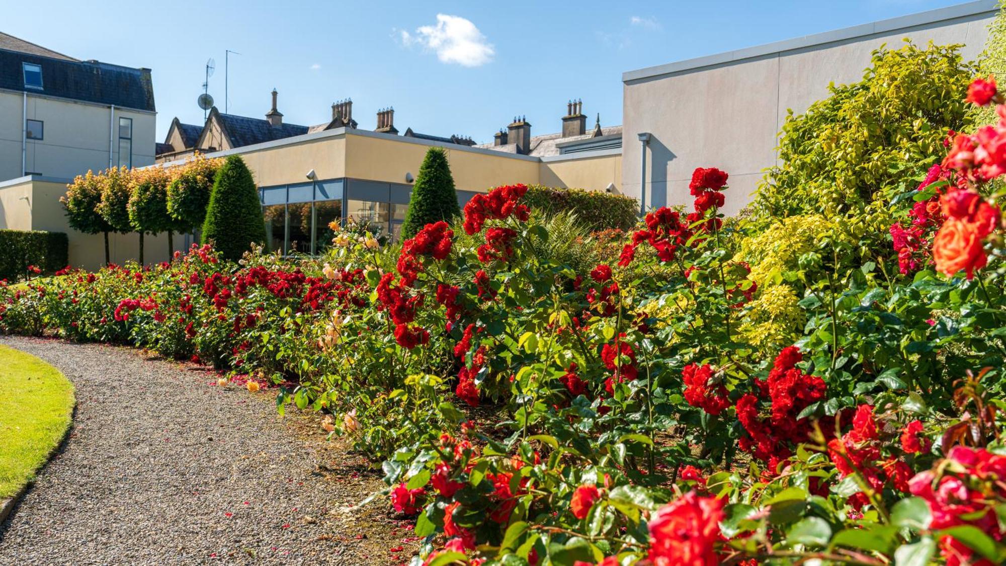 Ballymascanlon Hotel And Golf Resort Dundalk Exterior foto